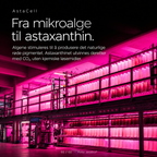 AstaCell – Astaxanthin + Omega-3 (30 kaps)