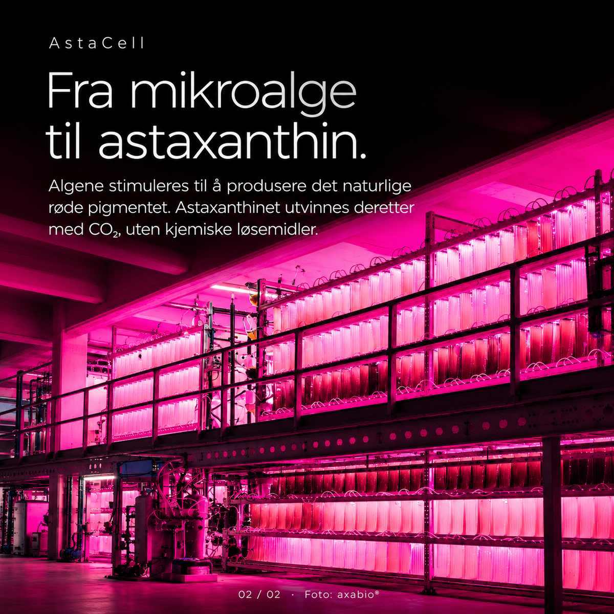 AstaCell – Astaxanthin + Omega-3 (30 kaps)