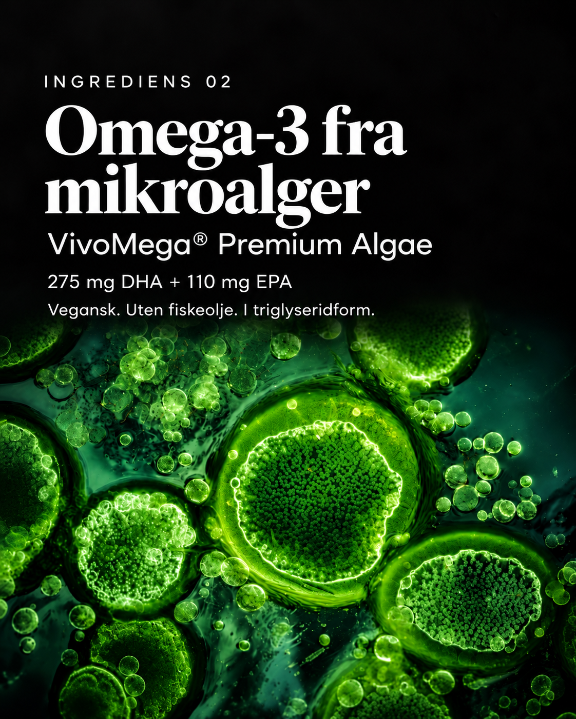 AstaCell – Astaxanthin + Omega-3 (30 kaps)